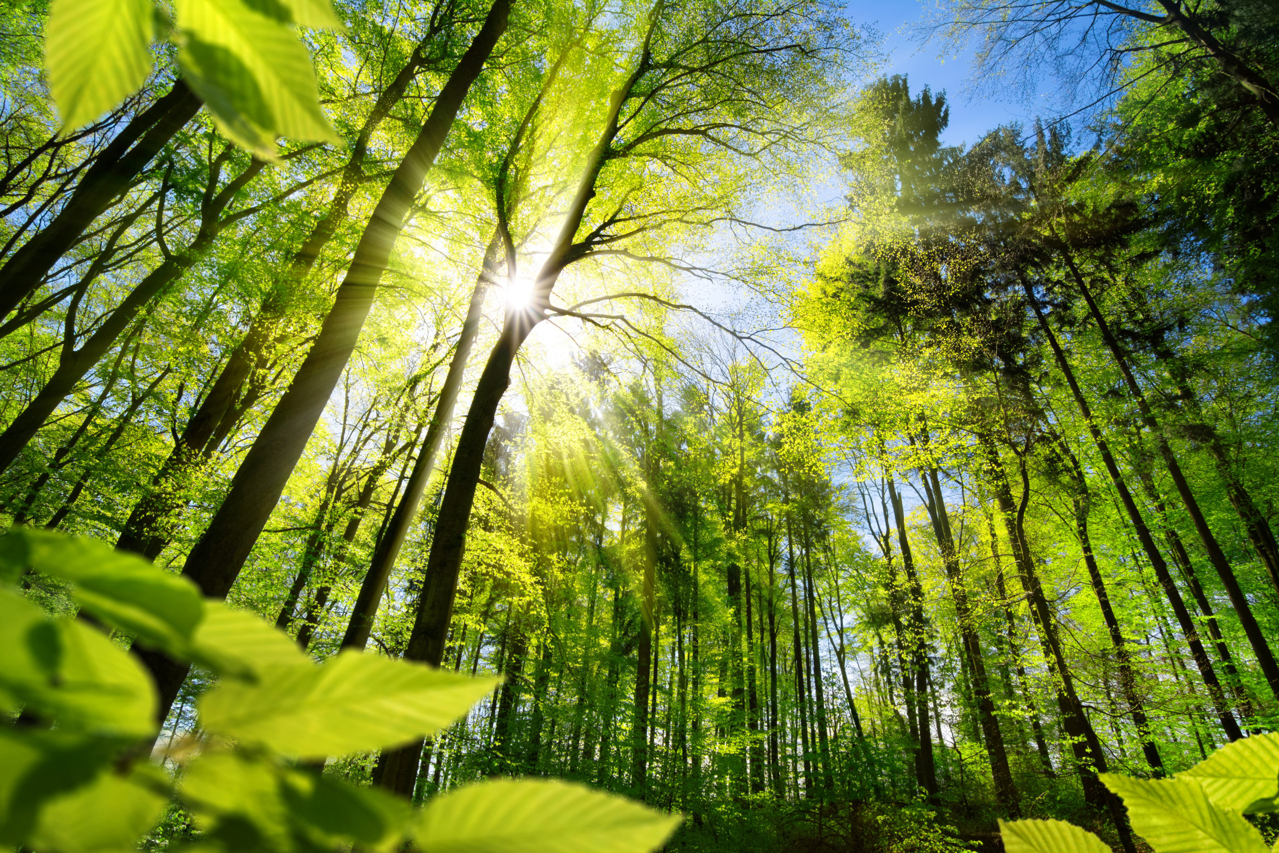 Small contribution for a better climate